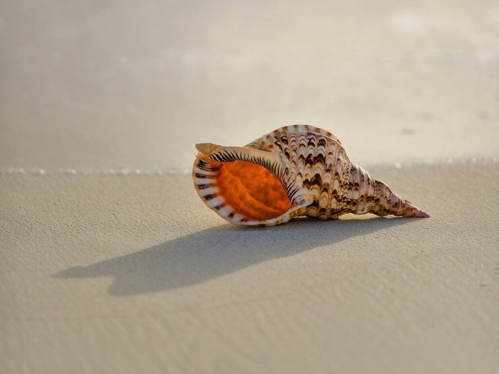 Dyrektywa Unshell (ADAT 3) walka UE ze spółkami fasadowymi